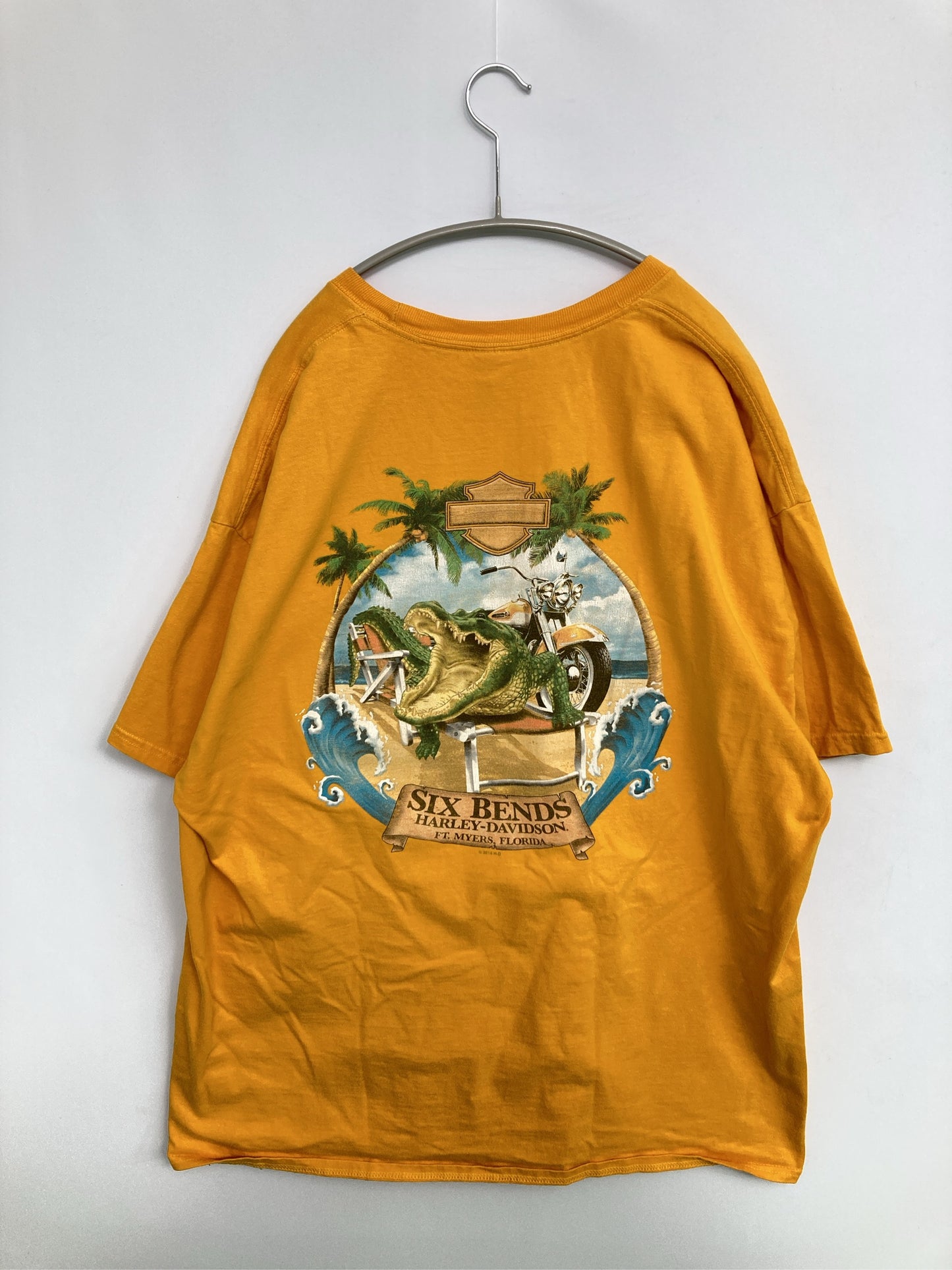 Tシャツ/カットソー