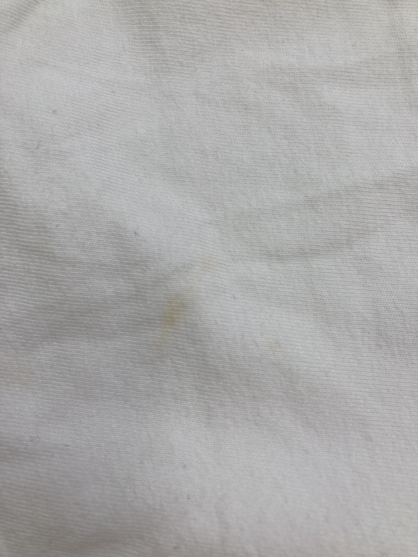 Tシャツ/カットソー