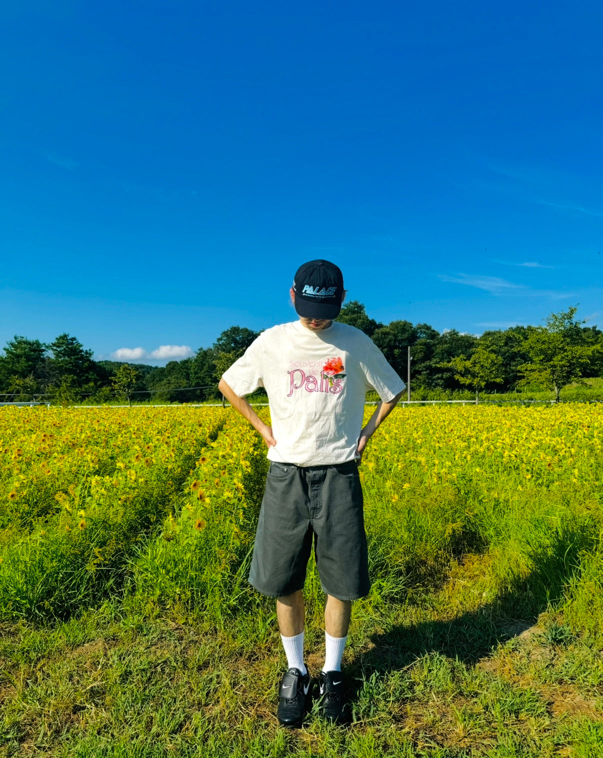 Tシャツ/カットソー