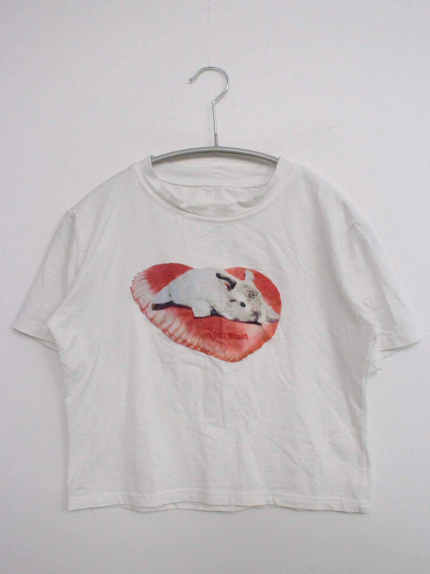 Tシャツ/カットソー