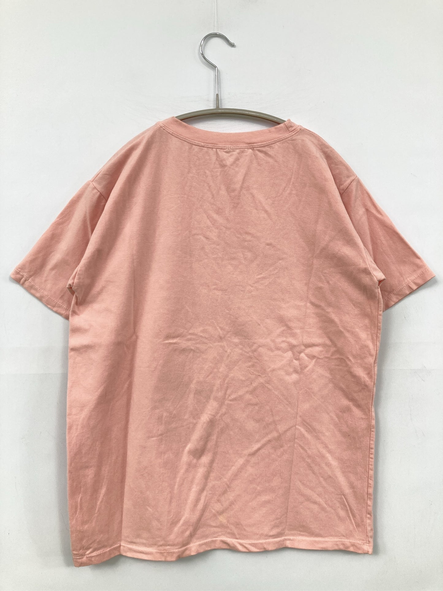 Tシャツ/カットソー