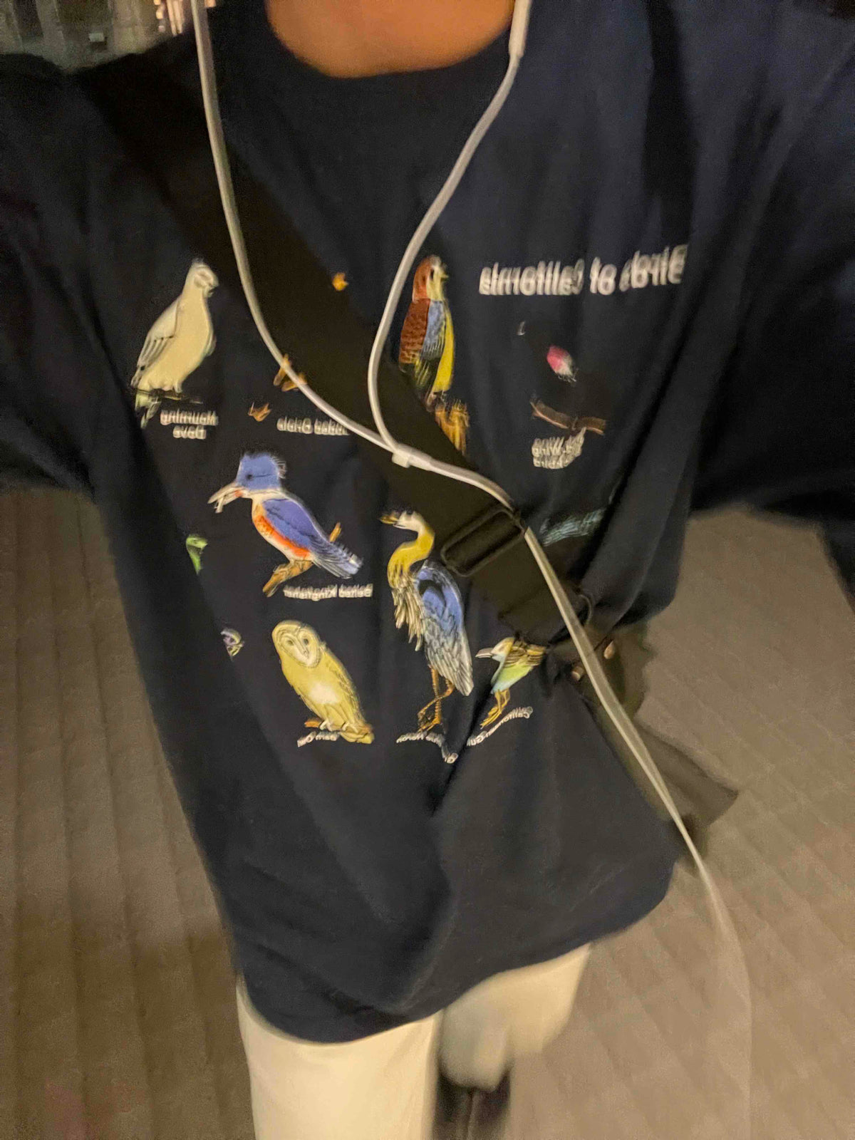 Tシャツ/カットソー