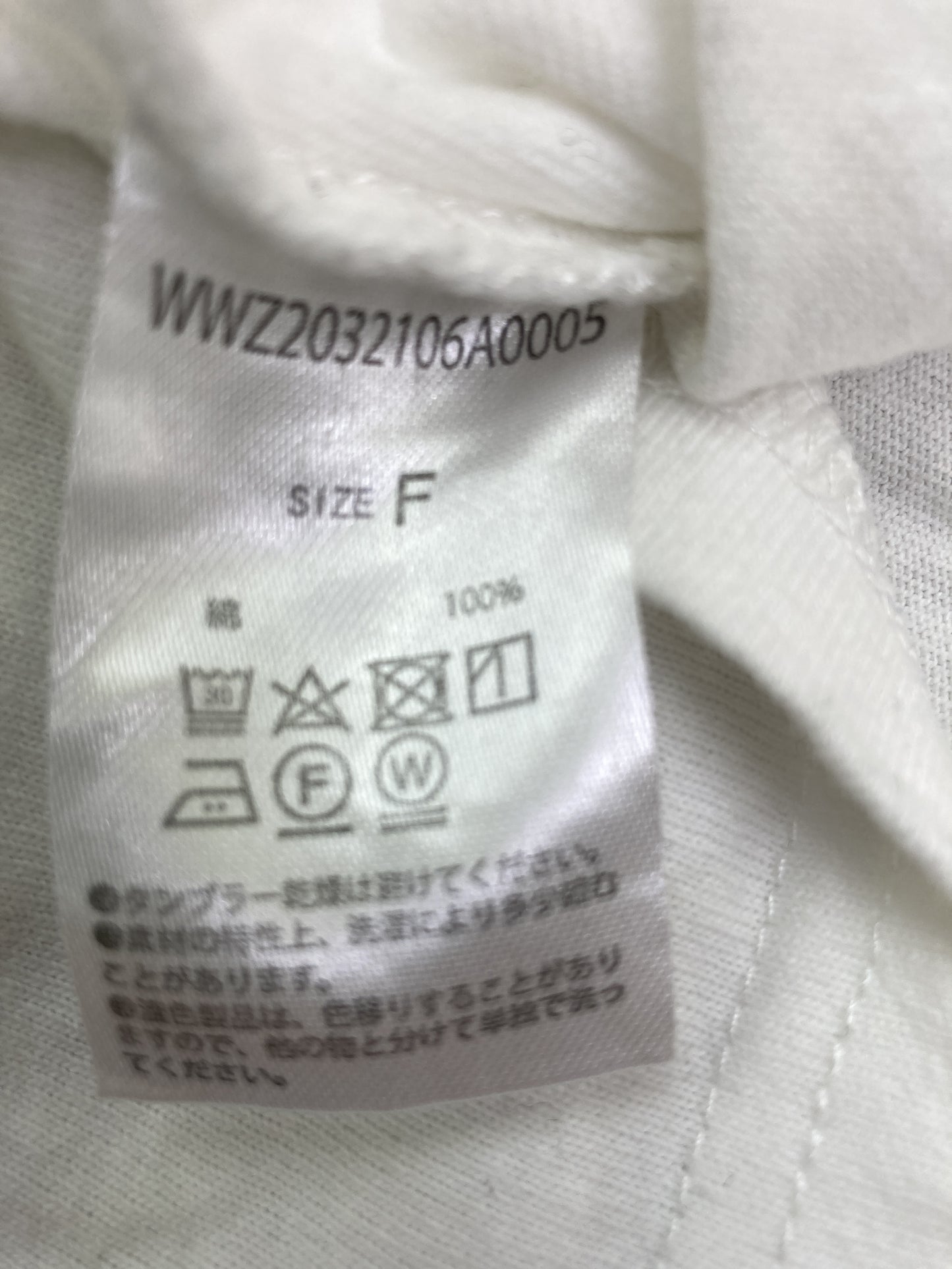 Tシャツ/カットソー