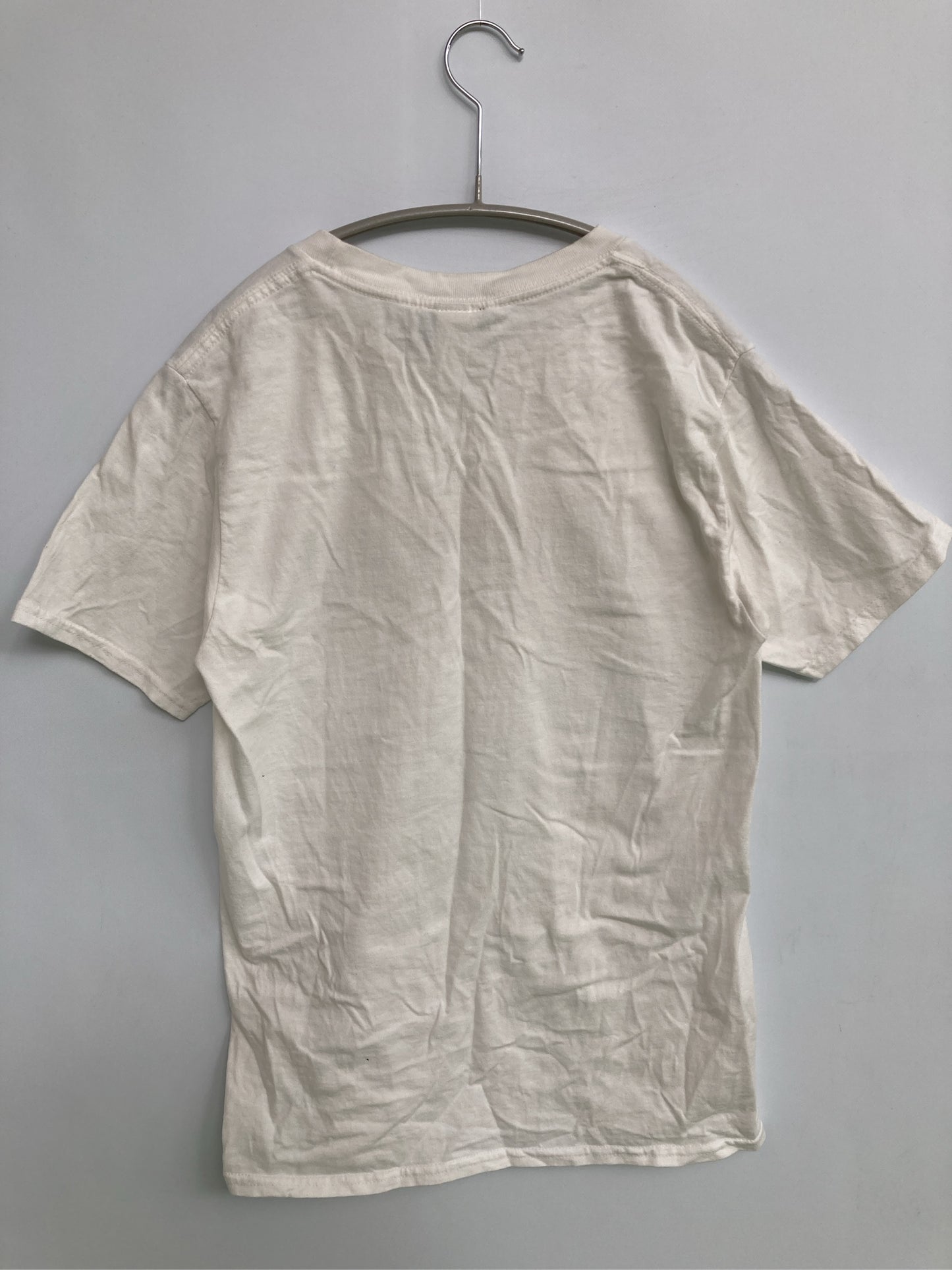 Tシャツ/カットソー