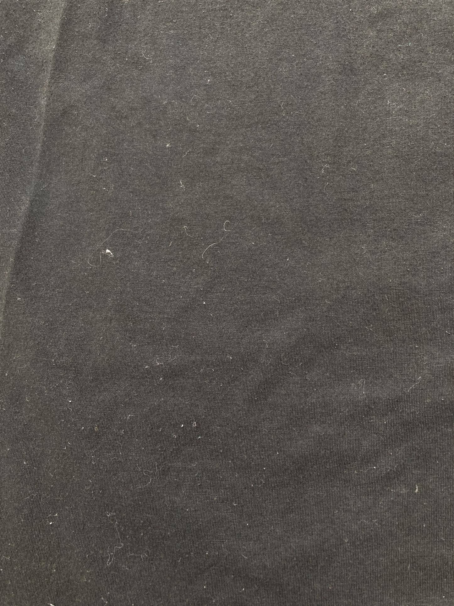 Tシャツ/カットソー